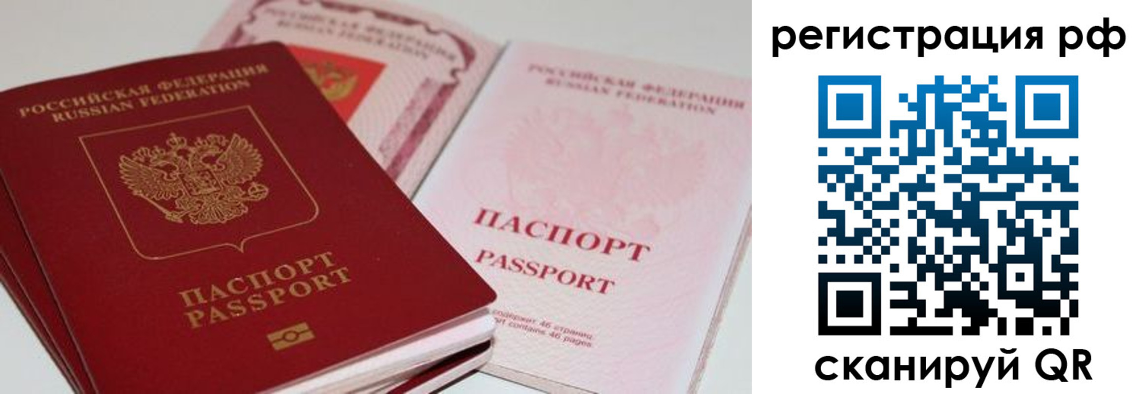 пропишу в квартире в Ермолино